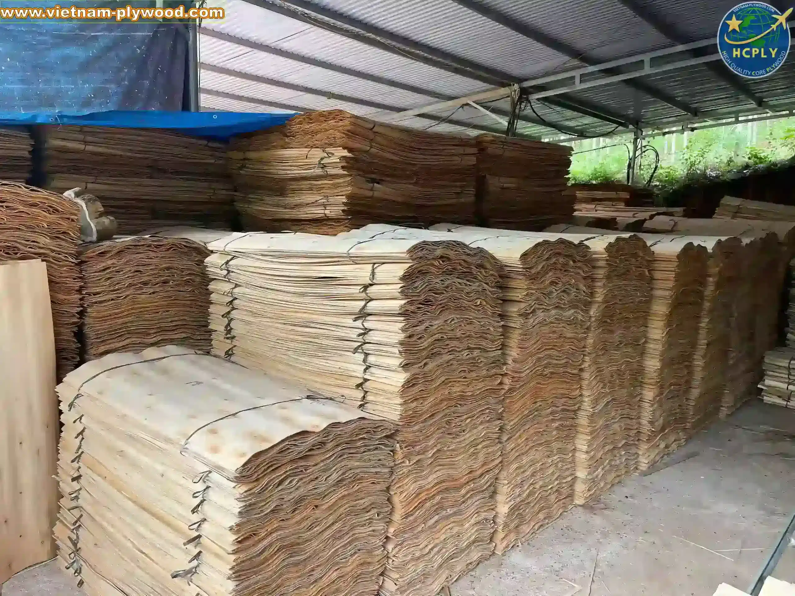 core veneer production line inside vietnam plywood factory hcply