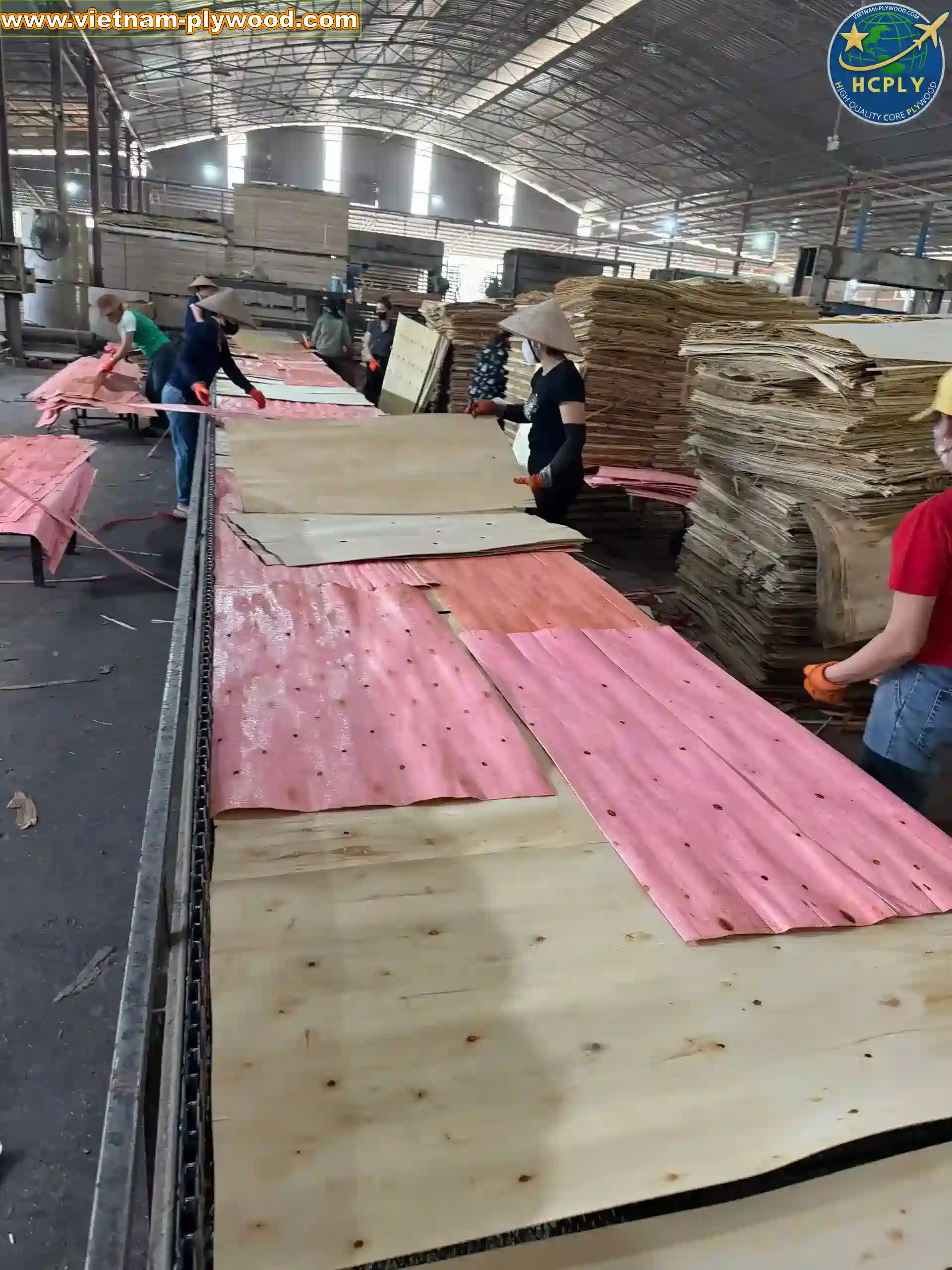 plywood sheet manufacturing vietnam plywood factory hcply