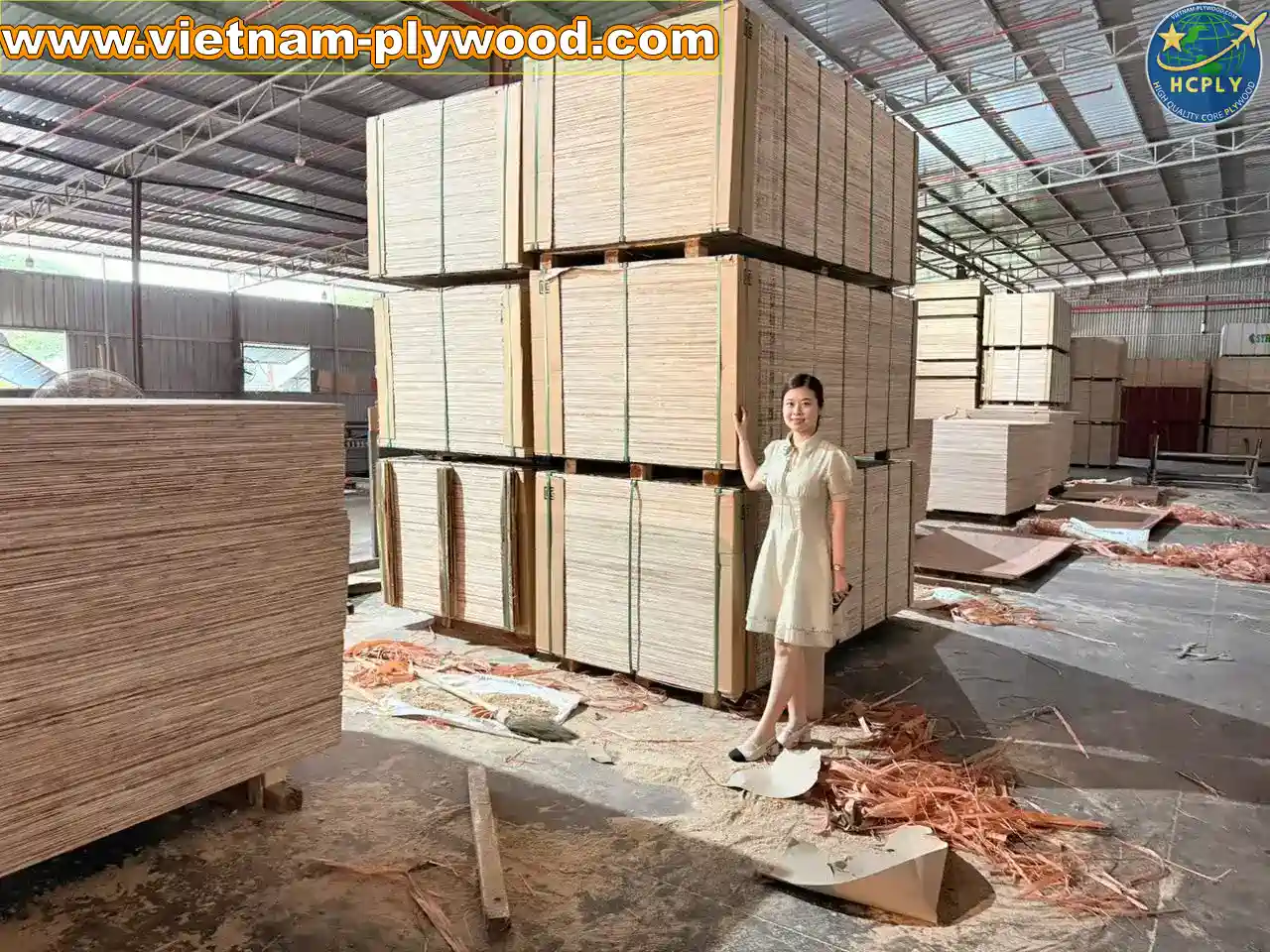 plywood sheet manufacturing vietnam plywood factory hcply
