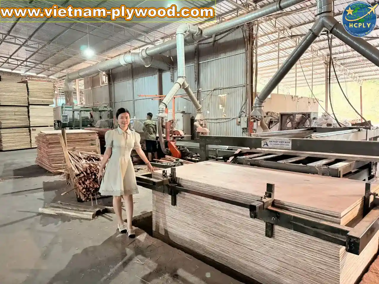 plywood sheet manufacturing vietnam plywood factory hcply