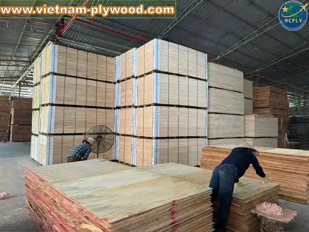 plywood sheet manufacturing vietnam plywood factory hcply