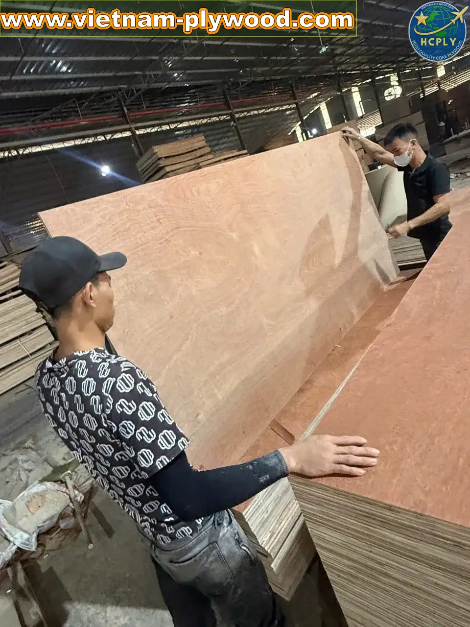 gurjan plywood vietnam premium export grade hcply
